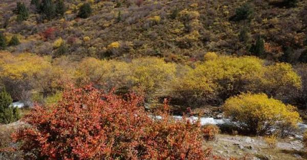 詩與遠山的邂逅&mdash;&mdash;國慶格聶&plus;央莫龍-相丘切克穿越之D6