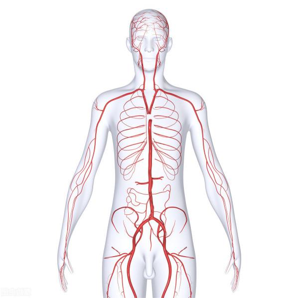 中醫是如何闡述心與肺的關係