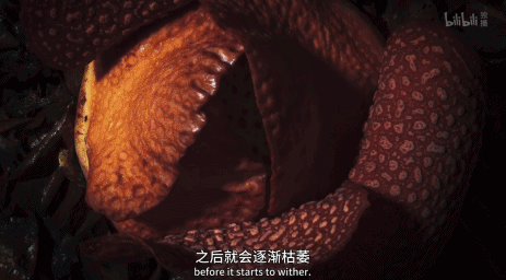 電影成真?再這麼下去,人類被自然災難吞噬就要成為現實 電影成真?再這麼下去,人類被自然災難吞噬就要成為現實