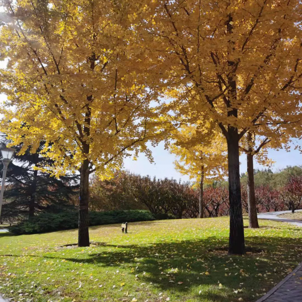 朝陽遊園推薦：北小河公園
