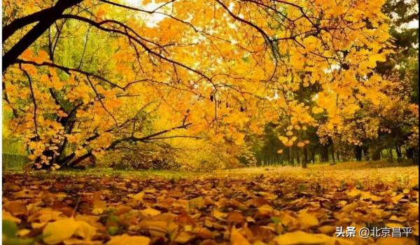 2021好幸運，和你在昌平走過春夏秋冬