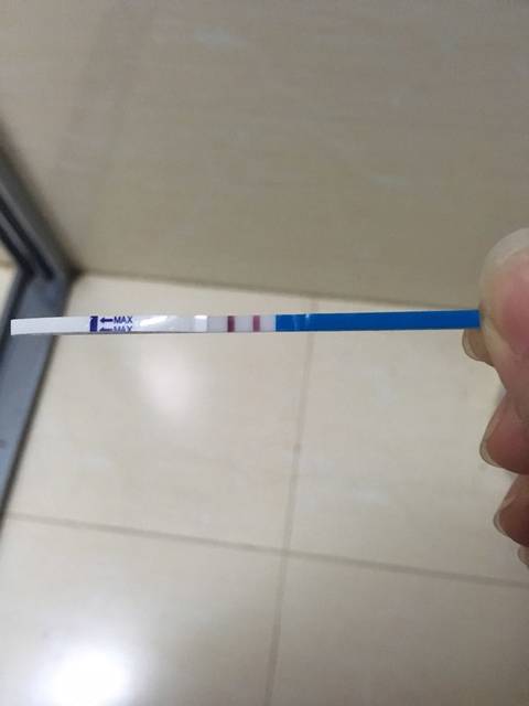 四十一歲意外懷三胎後我的生活和心理情感變化 四十一歲意外懷三胎後我的生活和心理情感變化