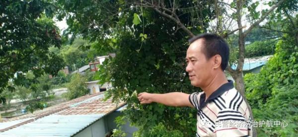 回鄉投資成噩夢，企業家深陷計中計