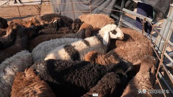 獨庫公路遊古城！新疆自駕攻略（下）