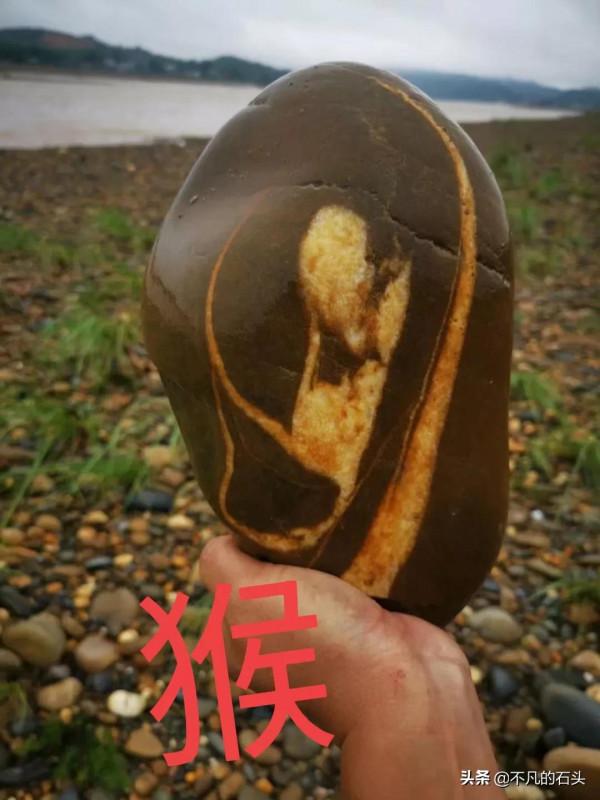 十二生肖畫面奇石,想要湊齊真不容易 十二生肖畫面奇石,想要湊齊真不容易