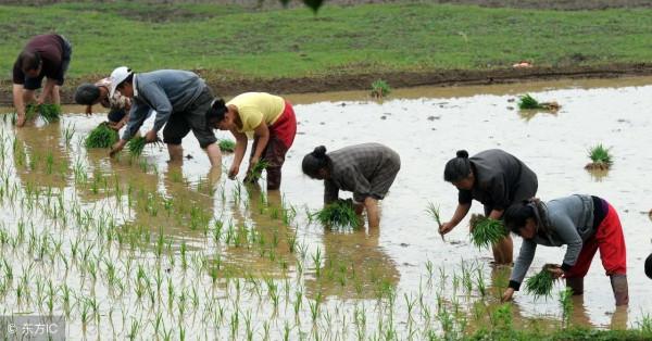世界很多富豪都在承包農場,下一個風口是農業? 世界很多富豪都在承包農場,下一個風口是農業?