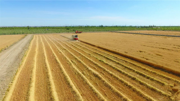 7800萬畝耕地的新選擇——“現代絲路寒旱農業三年倍增行動”觀察之一 7800萬畝耕地的新選擇——“現代絲路寒旱農業三年倍增行動”觀察之一