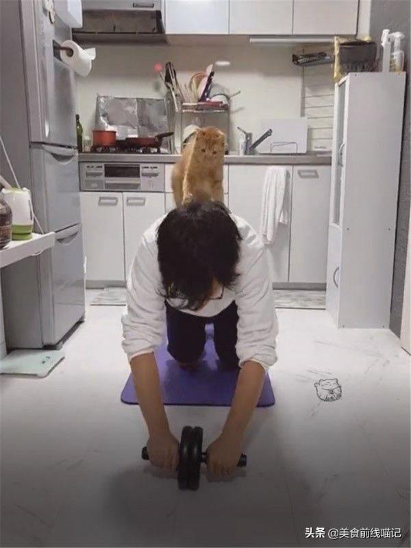 橘貓變成魔鬼教練，做運動的奴才：七公斤的負擔好重