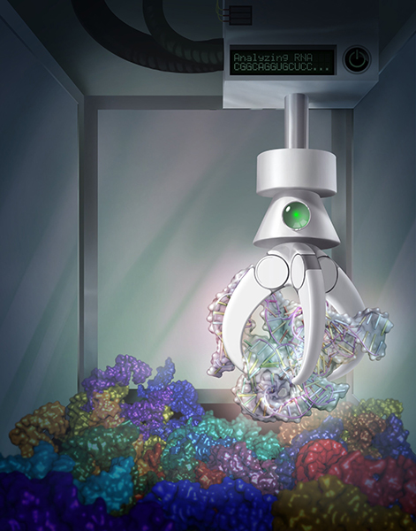 人工智慧演算法解決了結構生物學上的難題