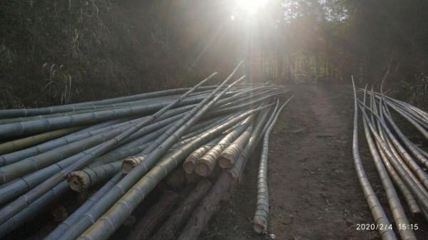 別以為留守農村的人都是一貧如洗，在農村年收入20萬也是有的