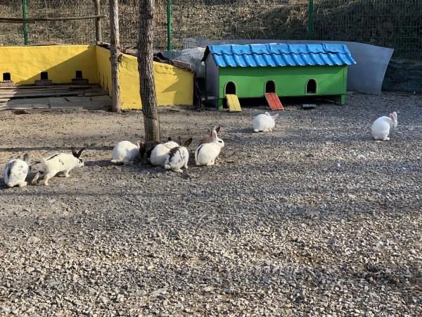 田園自然樂趣多、親子出遊新時尚 田園自然樂趣多、親子出遊新時尚