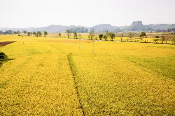 關於老家的記憶