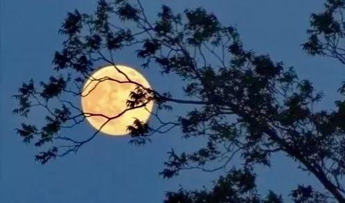 散文：日月得精華，中秋傳佳話