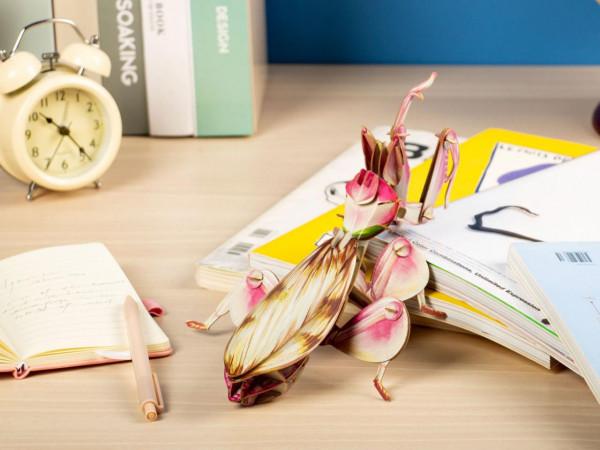 7歲孩子立志要研究"昆蟲",家長怎樣引導? 7歲孩子立志要研究"昆蟲",家長怎樣引導?