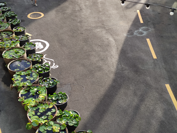 二手值得買 | 小米 10 Pro：官網下架後反而更火的「真」旗艦