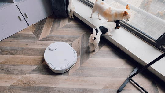 盲目入手的6個網紅小家電，以為是“智商稅”，沒想到越用越上癮