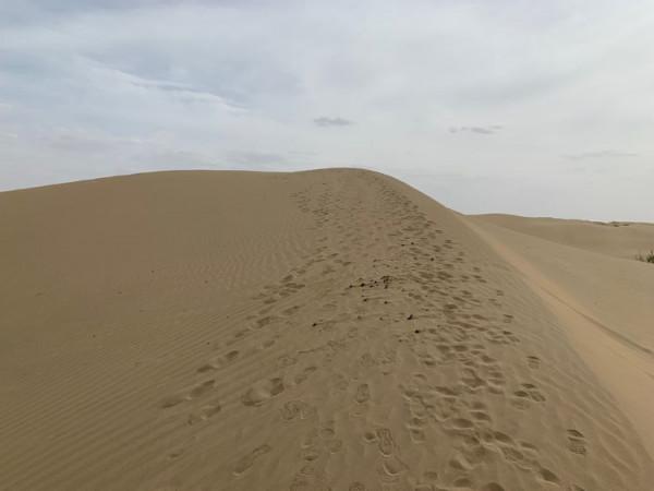 大美新疆（十）羅布人村