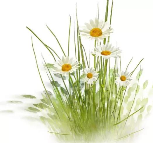 我家的幾位屬虎的親人