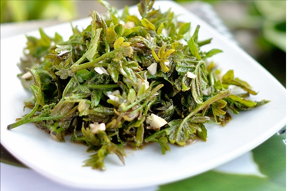 不同季節的樹上蔬菜，空閒時間採回來，換口味又安全