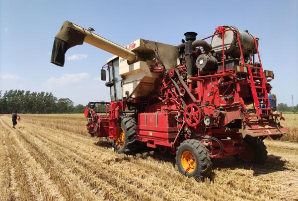 有人算一筆賬，種植一畝地小麥，純收入只有10元，為何漏洞百出？