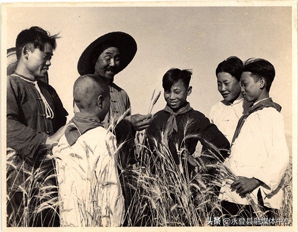 江蘇館藏|珍貴的治淮照片記載了曾經讓毛澤東落淚的一件大事 江蘇館藏|珍貴的治淮照片記載了曾經讓毛澤東落淚的一件大事