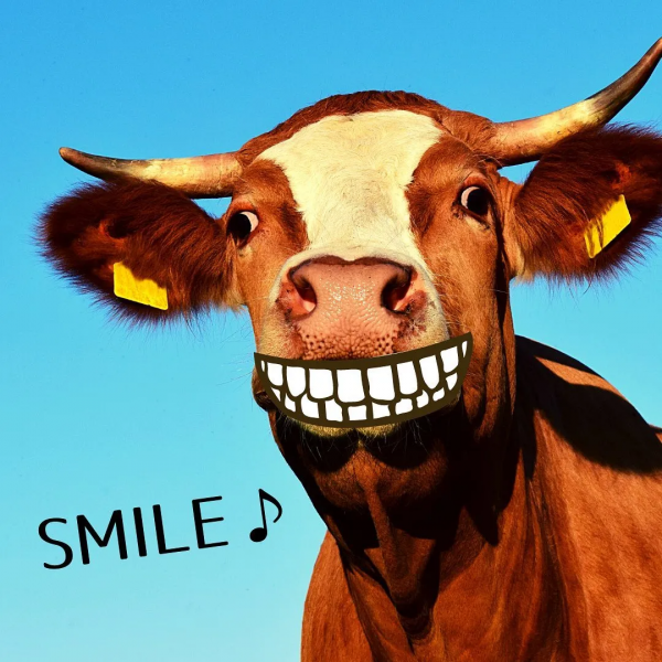 關於牛,全都是好看的 關於牛,全都是好看的