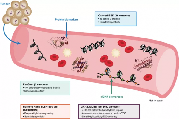 盤點 | 五家癌症早篩公司 盤點 | 五家癌症早篩公司