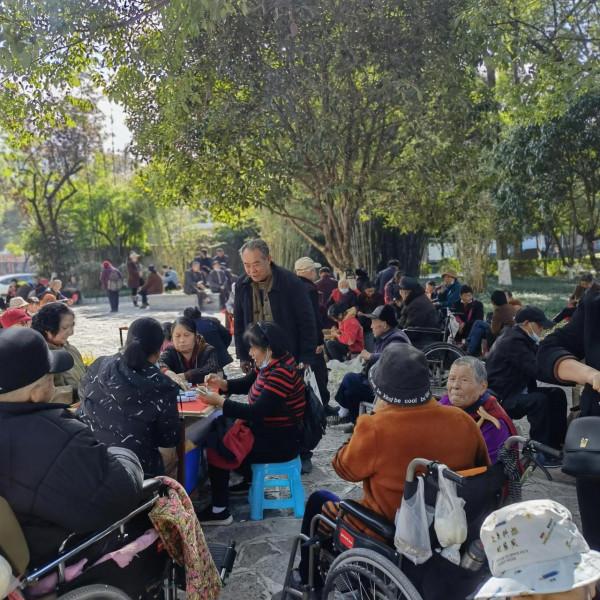 歡樂的紫舞公園