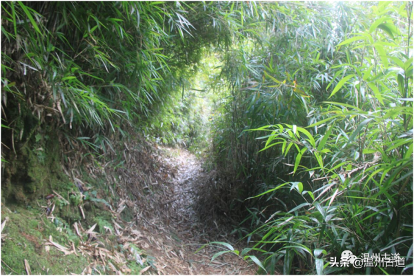 戶外迷路焦灣山，脫險經驗供分享