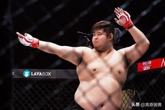 別小看胖子！功夫熊貓聽過沒？他血洗賽場，揚威海外