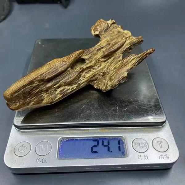 越南蜜香鐵結樹心