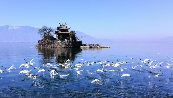 到浙江普陀山旅遊，怎樣防止被宰？