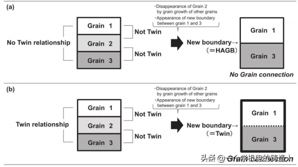 表面淬火鋼中奧氏體晶粒異常長大原位觀察