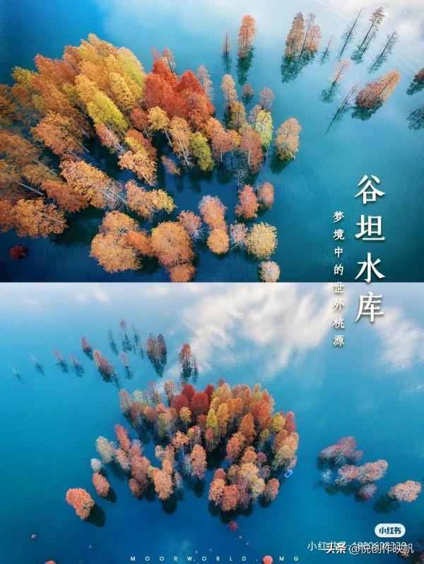 浙江紅杉林景點