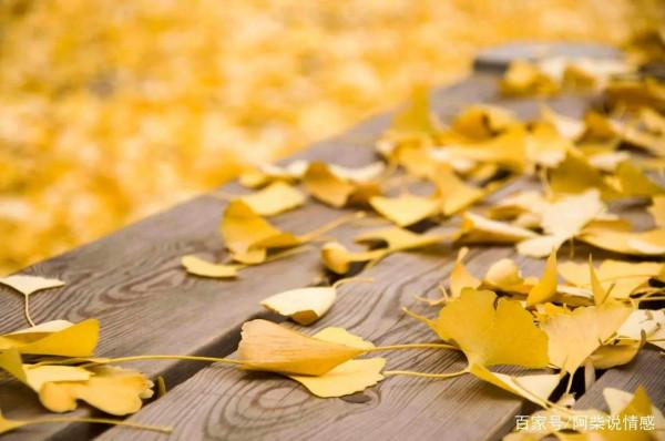 後半輩子，與其自擾，不如順其自然