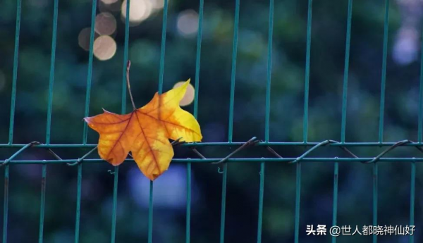 相由心生：你的長相，就是你內心的模樣