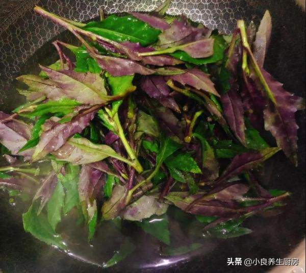 冬天,碰見這菜別手軟,營養又美味,滋補又解饞,現在吃正當季 冬天,碰見這菜別手軟,營養又美味,滋補又解饞,現在吃正當季