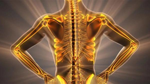 服用補充劑來預防骨折?VITAL研究用證據說沒用 服用補充劑來預防骨折?VITAL研究用證據說沒用