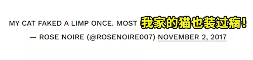 戲精狗子裝病騙取主人關心，寵物界如果有奧斯卡，它一定能獲獎