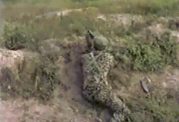 1988年，解放軍威武訓練表現出極強戰鬥素質，震撼日本記者