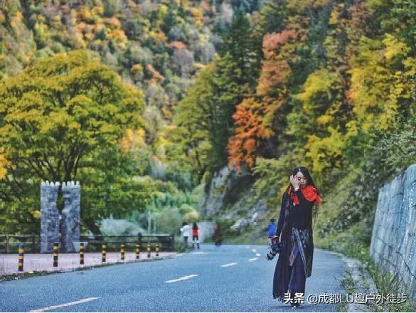 黑水秘境,感受奶子溝八十里彩林畫廊 黑水秘境,感受奶子溝八十里彩林畫廊