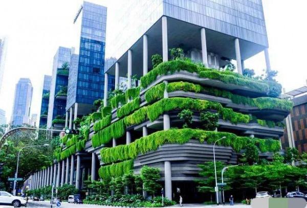 這20張照片告訴你，“獅城”新加坡的與眾不同