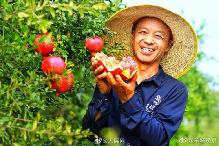 看,豐收的中國 看,豐收的中國