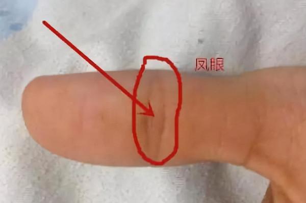 老祖宗識人術：掌中三樣紋，榮華富貴陳，哪“三樣紋”？有啥講究