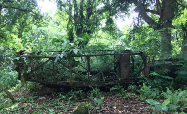 為了東南亞聖戰，一定要能下水，日軍的Su-Ki兩棲卡車系列