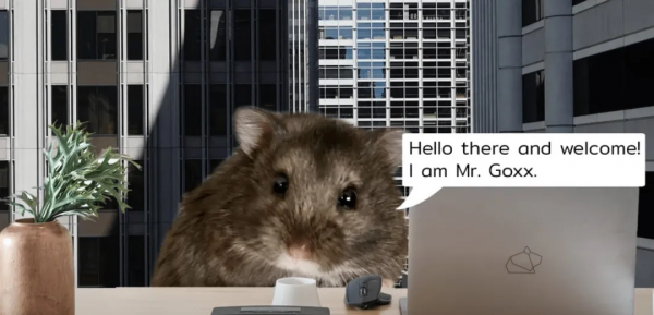 一隻炒加密貨幣的小倉鼠,3個月賺了50% 一隻炒加密貨幣的小倉鼠,3個月賺了50%