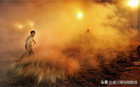 真全糧張思漫：釀酒機器-固態釀酒關鍵步驟入箱糖化技巧