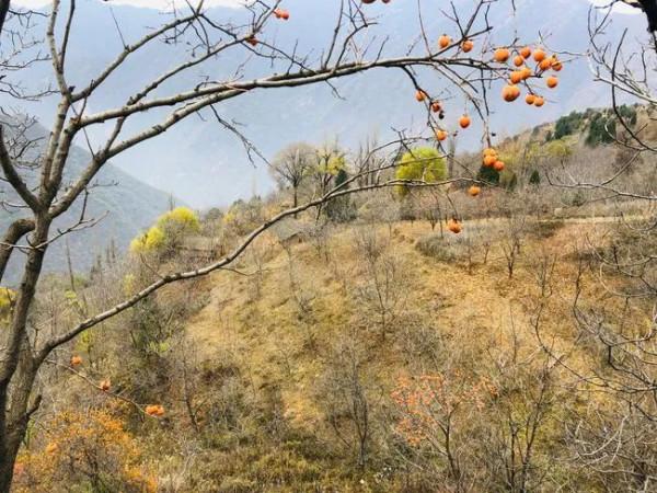 高山之上，秦嶺終南山有個原本熱鬧的空中村落，也許即將永遠消亡