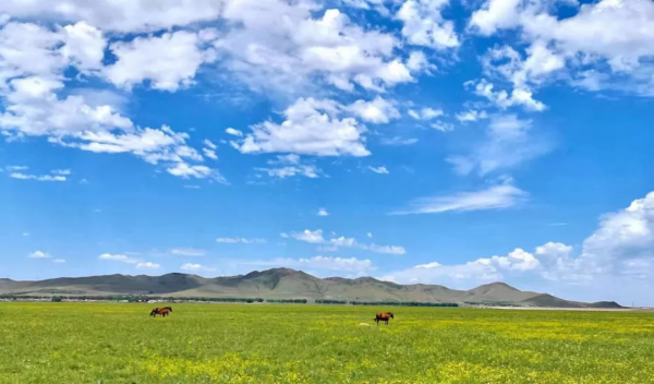 最大的幸運,也許不是看到的東西,而是善感的心靈 最大的幸運,也許不是看到的東西,而是善感的心靈