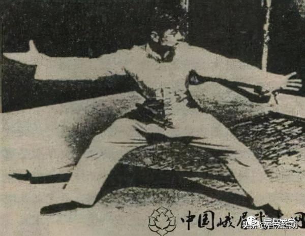 彈抖勁及其練習